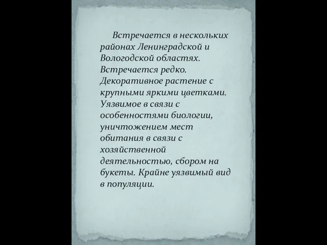 Встречается в нескольких районах Ленинградской и Вологодской областях. Встречается редко. Декоративное растение