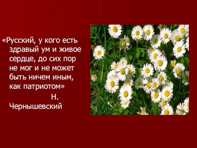 «Русский, у кого есть здравый ум и живое сердце, до сих пор