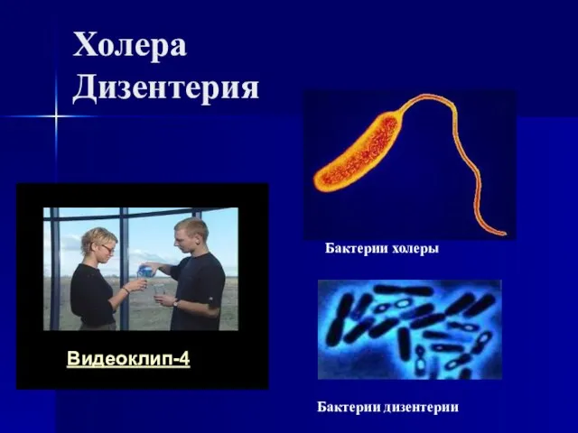 Холера Дизентерия Бактерии холеры Бактерии дизентерии Видеоклип-4