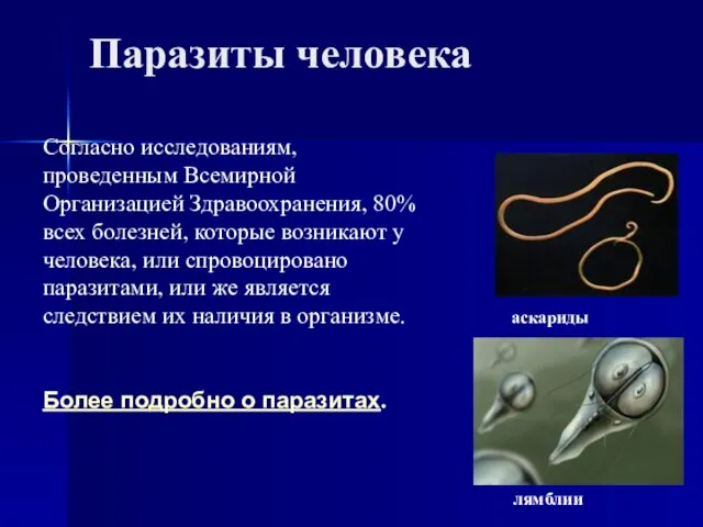 Паразиты человека Согласно исследованиям, проведенным Всемирной Организацией Здравоохранения, 80% всех болезней, которые