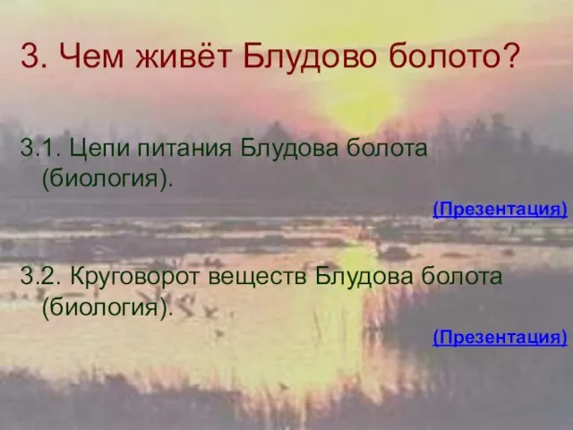 3. Чем живёт Блудово болото? 3.1. Цепи питания Блудова болота (биология). (Презентация)