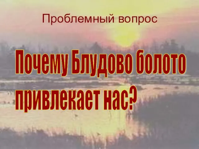 Проблемный вопрос Почему Блудово болото привлекает нас?