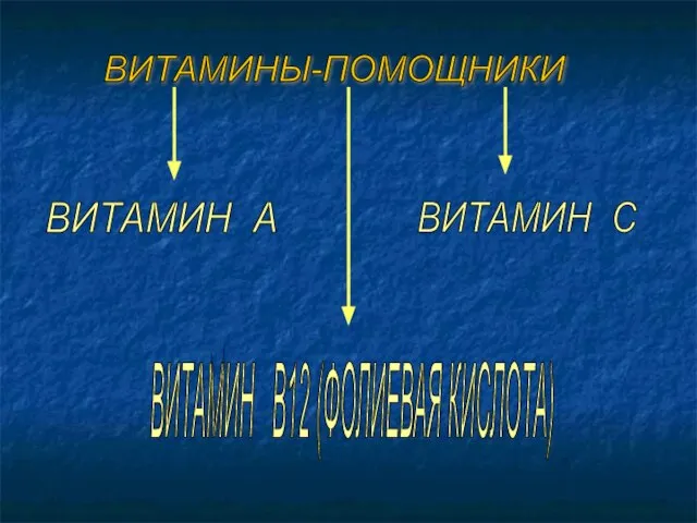 ВИТАМИНЫ-ПОМОЩНИКИ ВИТАМИН А ВИТАМИН С ВИТАМИН В12 (ФОЛИЕВАЯ КИСЛОТА)