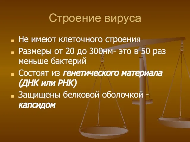 Строение вируса Не имеют клеточного строения Размеры от 20 до 300нм- это