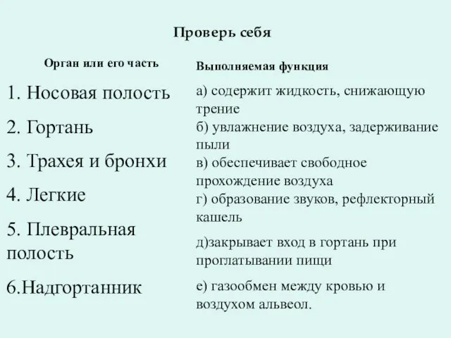 Орган или его часть 1. Носовая полость 2. Гортань 3. Трахея и