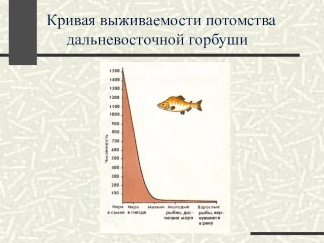 Кривая выживаемости потомства дальневосточной горбуши