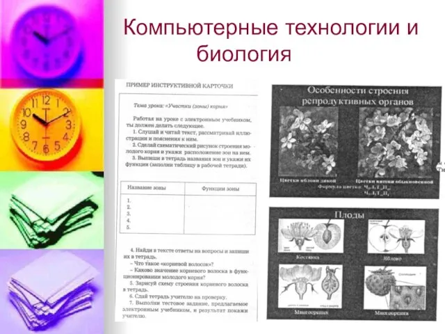 Компьютерные технологии и биология