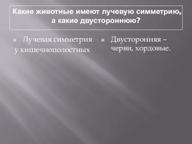 Какие животные имеют лучевую симметрию, а какие двустороннюю? Лучевая симметрия у кишечнополостных Двусторонняя – черви, хордовые.