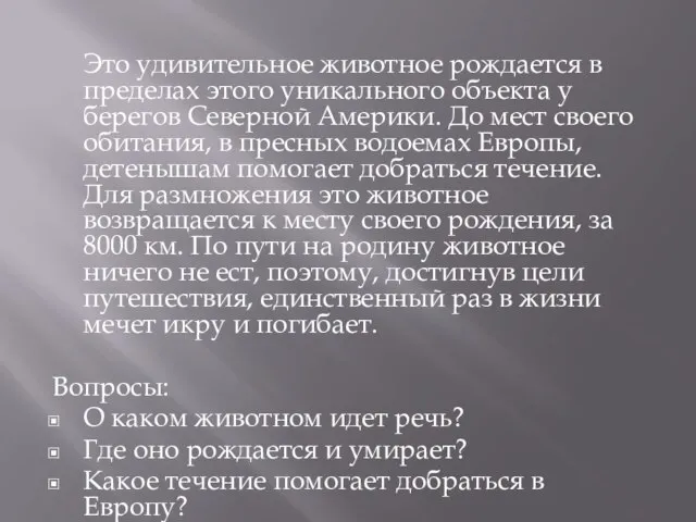 Это удивительное животное рождается в пределах этого уникального объекта у берегов Северной