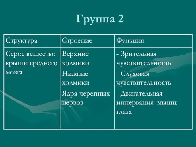 Группа 2