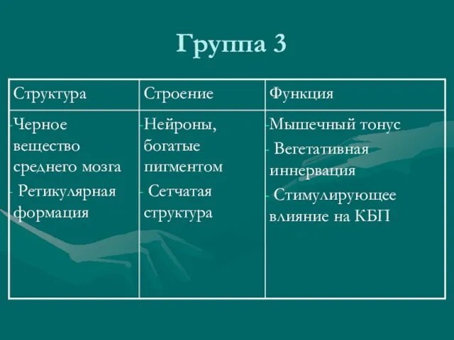 Группа 3