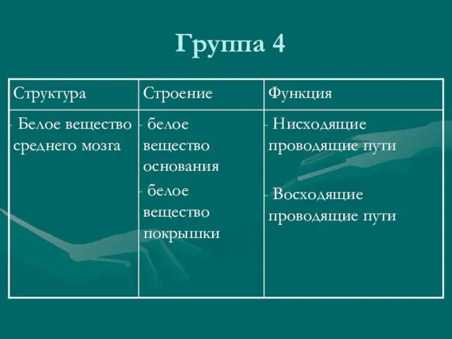 Группа 4