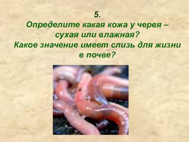 5. Определите какая кожа у червя – сухая или влажная? Какое значение