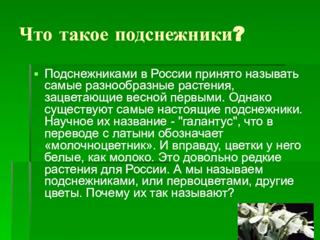 Что такое подснежники? Подснежниками в России принято называть самые разнообразные растения, зацветающие