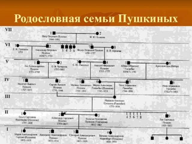 Родословная семьи Пушкиных