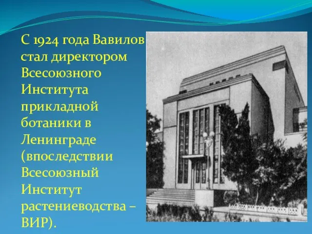 С 1924 года Вавилов стал директором Всесоюзного Института прикладной ботаники в Ленинграде
