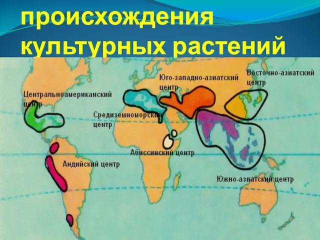 Центры происхождения культурных растений