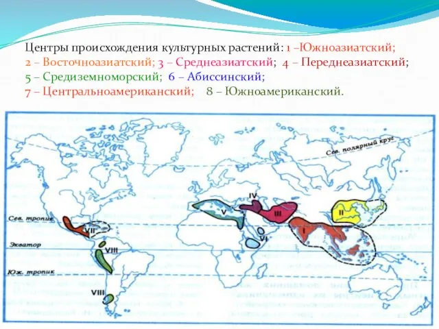 Центры происхождения культурных растений: 1 –Южноазиатский; 2 – Восточноазиатский; 3 – Среднеазиатский;