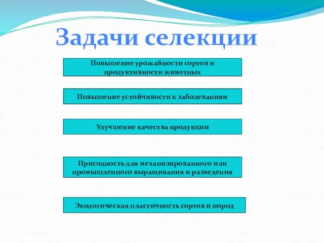 Повышение урожайности сортов и продуктивности животных Повышение устойчивости к заболеваниям Улучшение качества