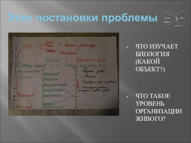 Этап постановки проблемы ЧТО ИЗУЧАЕТ БИОЛОГИЯ (КАКОЙ ОБЪЕКТ?) ЧТО ТАКОЕ УРОВЕНЬ ОРГАНИЗАЦИИ ЖИВОГО?