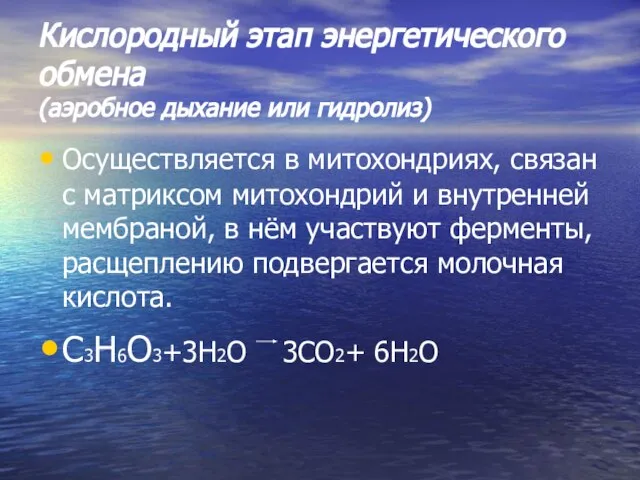 Кислородный этап энергетического обмена (аэробное дыхание или гидролиз) Осуществляется в митохондриях, связан