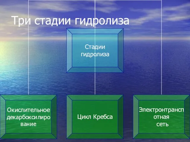 Три стадии гидролиза