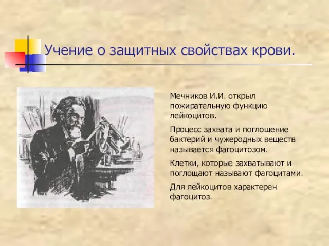 Учение о защитных свойствах крови. Мечников И.И. открыл пожирательную функцию лейкоцитов. Процесс