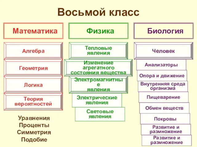 Восьмой класс Уравнения Проценты Симметрия Подобие Математика Физика Биология Алгебра Геометрия Логика