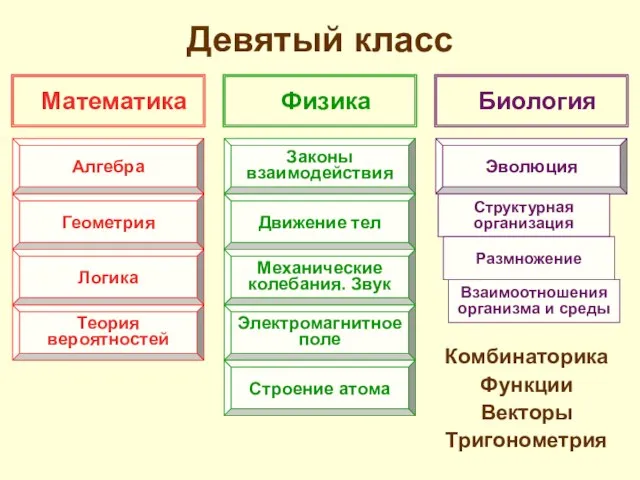 Девятый класс Комбинаторика Функции Векторы Тригонометрия Математика Физика Биология Алгебра Геометрия Логика