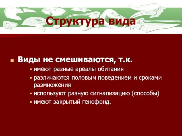 Структура вида Виды не смешиваются, т.к. имеют разные ареалы обитания различаются половым