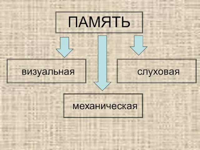 ПАМЯТЬ визуальная слуховая механическая