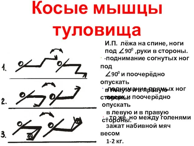 Косые мышцы туловища И.П. лёжа на спине, ноги под ∠900 ,руки в