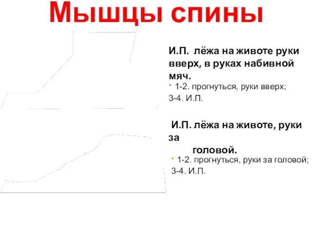 Мышцы спины И.П. лёжа на животе руки вверх, в руках набивной мяч.