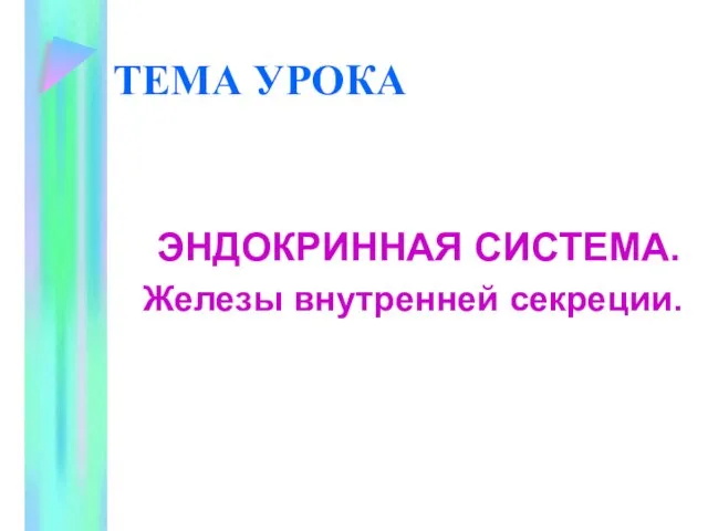 ТЕМА УРОКА ЭНДОКРИННАЯ СИСТЕМА. Железы внутренней секреции.