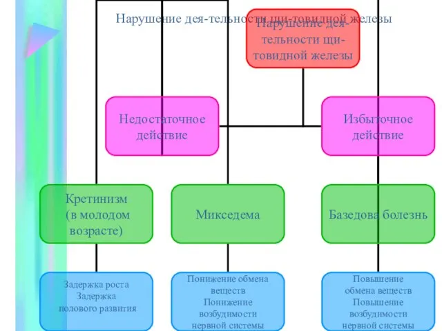 Нарушение дея-тельности щи-товидной железы