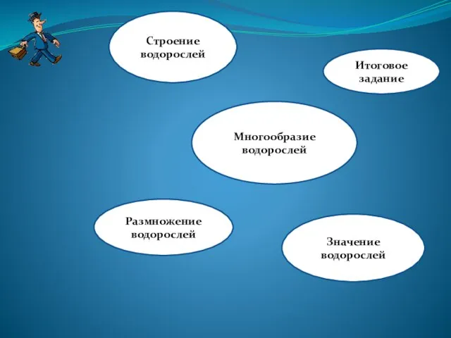 Строение водорослей Многообразие водорослей Значение водорослей Размножение водорослей Итоговое задание