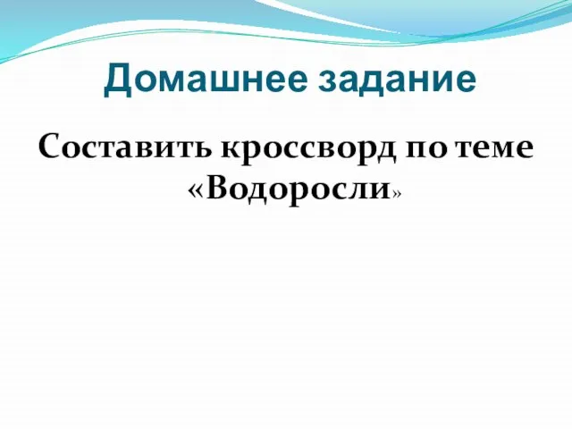 Домашнее задание Составить кроссворд по теме «Водоросли»