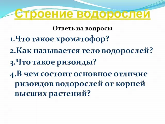 Строение водорослей Ответь на вопросы 1.Что такое хроматофор? 2.Как называется тело водорослей?