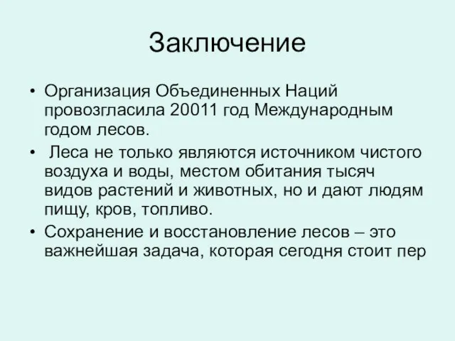 Заключение Организация Объединенных Наций провозгласила 20011 год Международным годом лесов. Леса не