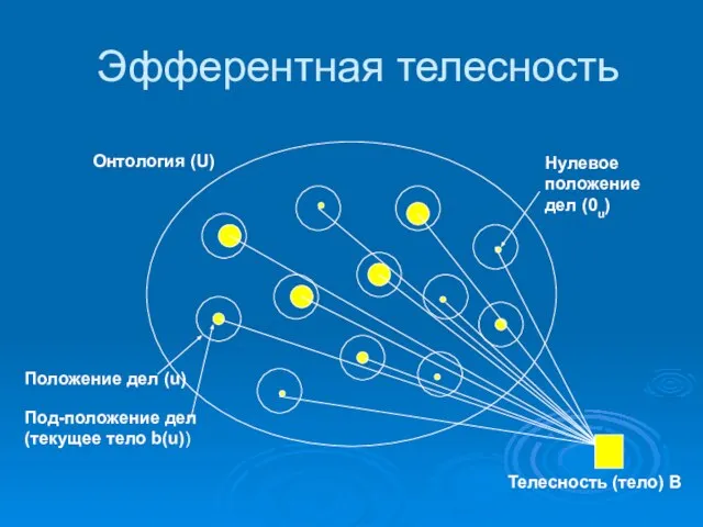 Эфферентная телесность Онтология (U) Телесность (тело) B Положение дел (u) Под-положение дел