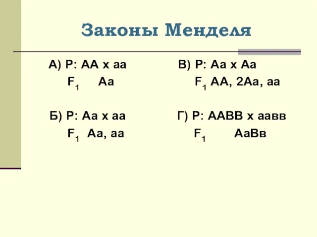 Законы Менделя А) Р: АА х аа В) Р: Аа х Аа