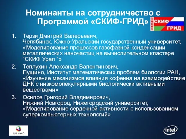 Номинанты на сотрудничество с Программой «СКИФ-ГРИД» Терзи Дмитрий Валерьевич, Челябинск, Южно-Уральский государственный