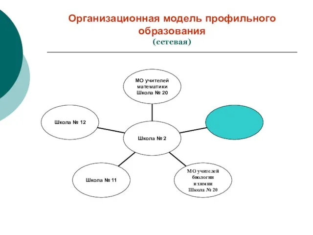 Организационная модель профильного образования (сетевая)