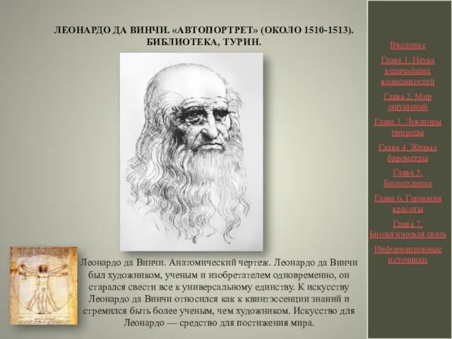 ЛЕОНАРДО ДА ВИНЧИ. «АВТОПОРТРЕТ» (ОКОЛО 1510-1513). БИБЛИОТЕКА, ТУРИН. Леонардо да Винчи. Анатомический