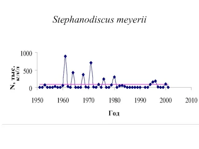 Stephanodiscus meyerii