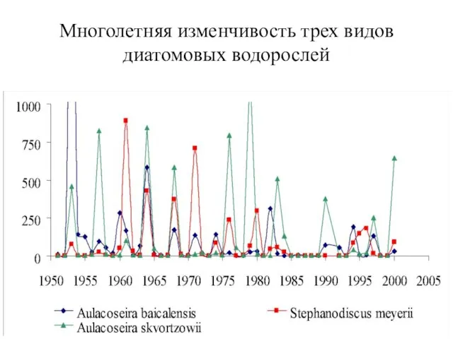 Многолетняя изменчивость трех видов диатомовых водорослей