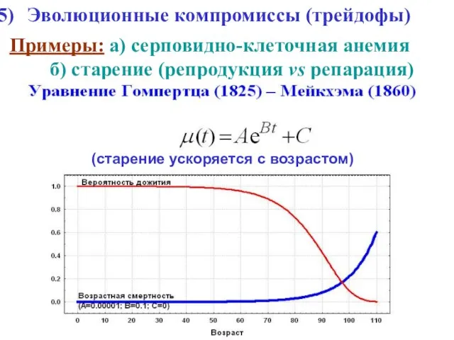 Эволюционные компромиссы (трейдофы) Примеры: а) серповидно-клеточная анемия б) старение (репродукция vs репарация) (старение ускоряется с возрастом)