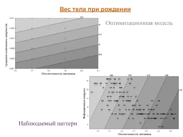 Вес тела при рождении Оптимизационная модель Наблюдаемый паттерн