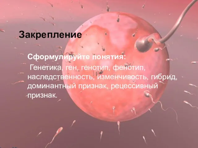 Закрепление Сформулируйте понятия: Генетика, ген, генотип, фенотип, наследственность, изменчивость, гибрид, доминантный признак,