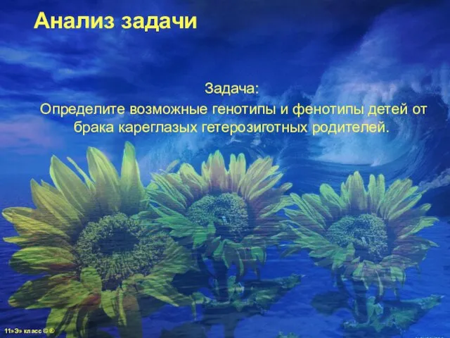 Анализ задачи Задача: Определите возможные генотипы и фенотипы детей от брака кареглазых